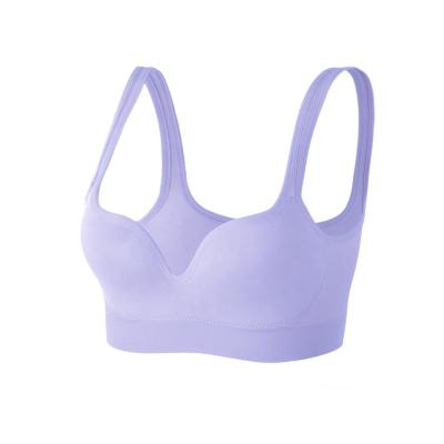 China Antibacterial Ladies Gym Wear Free Dropship Seamless Wire Padded Sexy Lift Up Sports Bra for sale