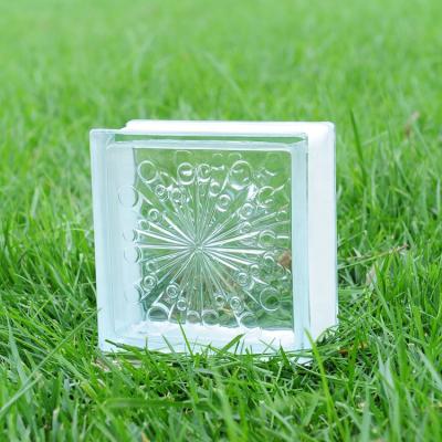 China New Contemporary Design Clear Hollow Glass Blocks Modern Fashion Decoration Glass Brick Square 190X190 Size Etched Pattern Glass Bricks for sale