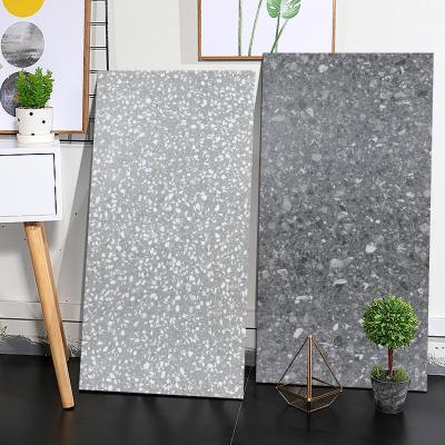 China Modern Large Size Terrazzo Tiles Stone Interior Texture Floor Tiles Countertops 600X1200 Green Blue Beige for sale