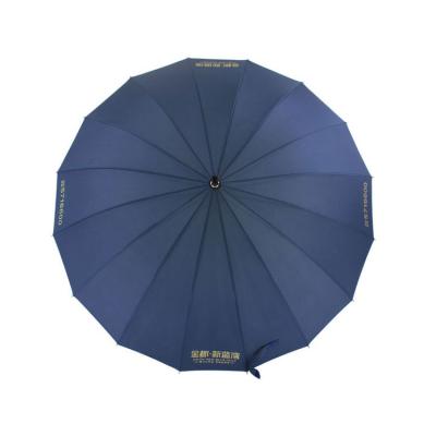 China All in 1 16 rib umbrella for sale