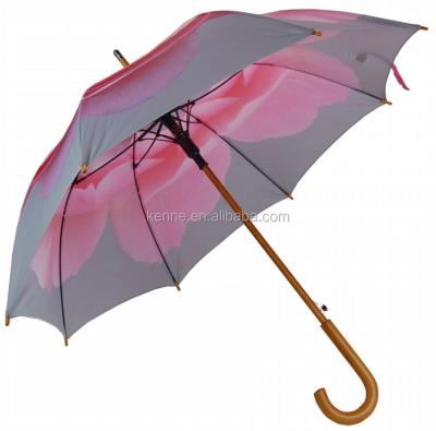 China All in 1 rose printed umbrella for sale