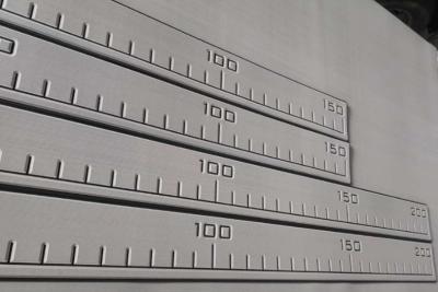 Cina 1 *2m EVA Foam Fish Ruler in vendita