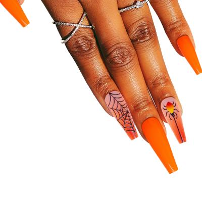 China Hot Selling 30Pcs CIA Spider Box Spider Multiple Style Nail Tips Cross Christmas Halloween Press On Nails With Tools for sale