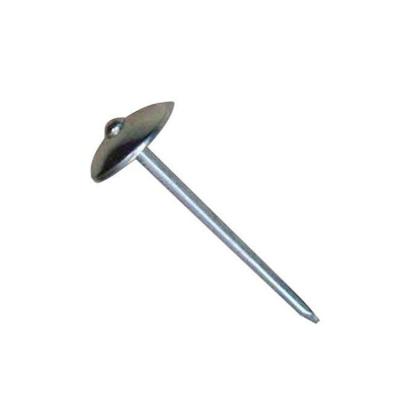 China Flat Aluminum Roofing Nails Umbrella Head Roof Nails With Cap for sale