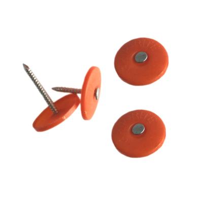 China Flat Roofing Screws Wooden Roof Nail With Plastic Cap Screw And Nail for sale