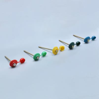 China Flat Roofing Screws Head Cap Plastic Umbrella Roofing Nails From Manufacutre Taiwan China for sale