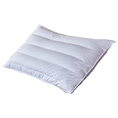 China Anti-pilling manufacturer made the bed pillow soft and good home sleep healthy buckwheat pillow for sale