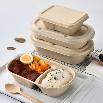 China Biodegradable Tableware 1000ml Sugarcane Food Container Bagasse Box Lunch Box for sale