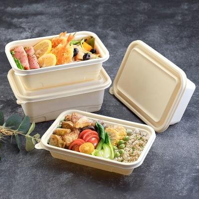 China Sustainable Friendly Compostable Disposable Eco Bento Biodegradable Tableware Lunch Box Food Container Cornstarch Lunch Box Set en venta