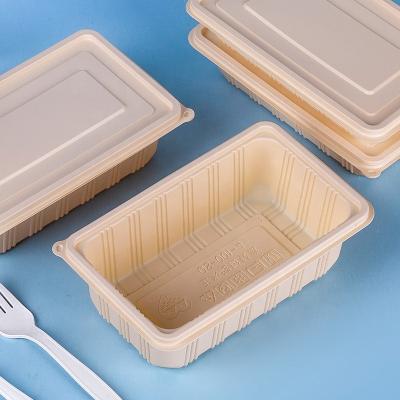 Cina Disposable Cornstarch Bento Lunch Box Food Container Take-out Compartment Eco-friendly Biodegradable in vendita