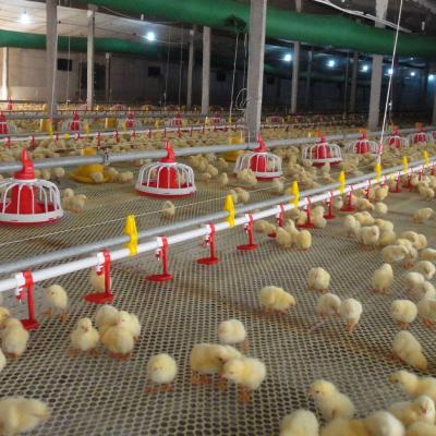 China Farms Automatic Nipple Drinking System For Poultry Broiler Farm for sale