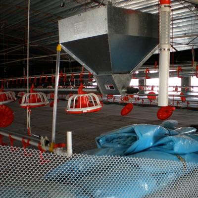 China Farms Automatic Broiler System Auger Feeder Feeding System For Poultry Farm House Automatic Poultry Feeders for sale