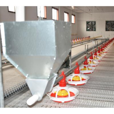 China Automatic Farms Broiler Floor Poultry Equipment Auger Feeding System for sale