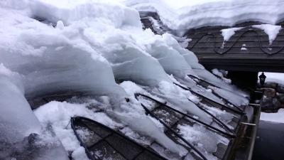 중국 constant voltage Snow Melting Cable heat tracing  for roof and gutter snow melting 판매용