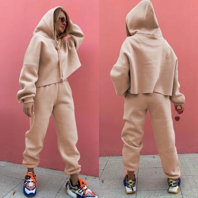 China 2021 Solid Color Custom Polyester Fleece Thick Hoodie Logo Women Tracksuit Long Sleeves Soft Pullover Set For Women for sale