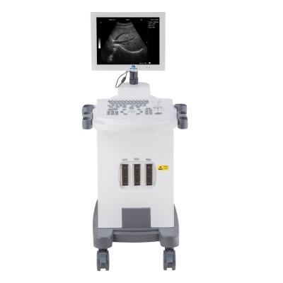 China RC-BW370 Full-digital Electric Plastic Abdomen PC Platform Trolley Ultrasound Diagnostic System Black And White Ce 2 Year Class II for sale