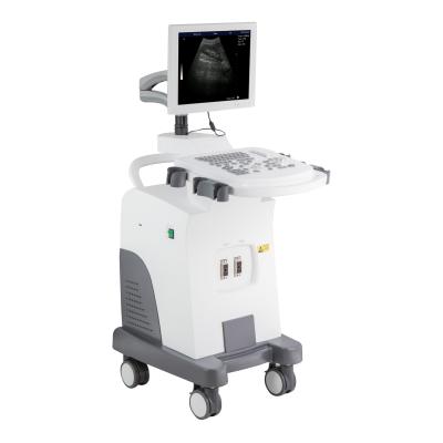 China RC-BW350 Abdomen Trolley Ultrasound Diagnostic System Black And White Machine for sale