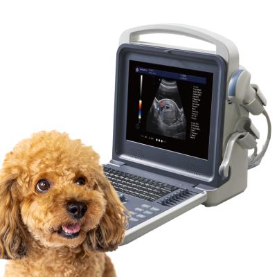 China China Best Portable Abdomen RC-K600V Ultrasound Machine Portable Color Doppler Veterinary Ultrasound for sale