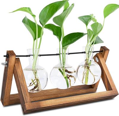 China Mini Greenhouse Hydroponics Plants Glass Bulb Artistic Planter Desktop Air Glass Vase LK331 with Wooden Stand Propagation Station for sale