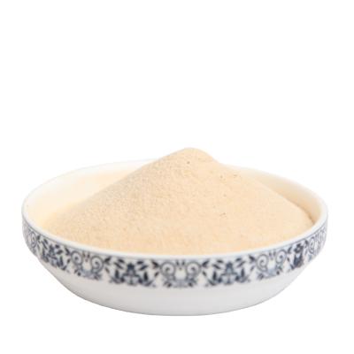 China Dry Chicken Flavor Thick And Delicious Chicken Taste Seasoning Powder for sale