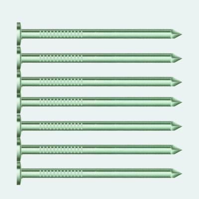 China Hot Selling Joint Nail Flat Round Galvanized Iron Main Nail for sale