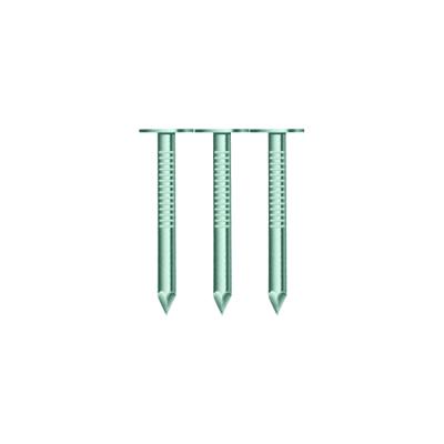 China Flat Factory Direct Hot Dip Galvanized Screw Shank Nail Common Roofing Nails for sale