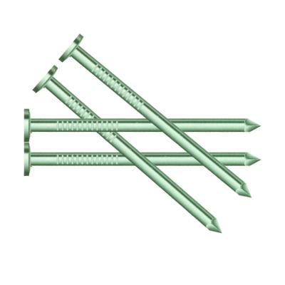 China Good Quality Twist Flat Leg Galvanized Umbrella Head Roofing Nails Joint Nail for sale