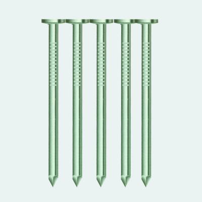 China Best Hot Selling Extreme Quality Long Dipped Galvanized Head Flat Smooth Shank Joint Nails for sale