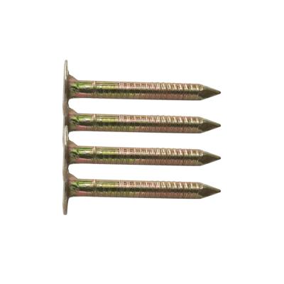 China Flat Factory Wholesale High Standard Galvanized Smooth Shank Coil Roofing Nails for sale