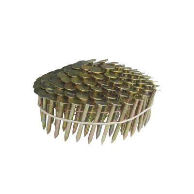 China Best Quality Stainless Steel Smooth Leg Coil Roofing Nails Flat Coil Nail for sale