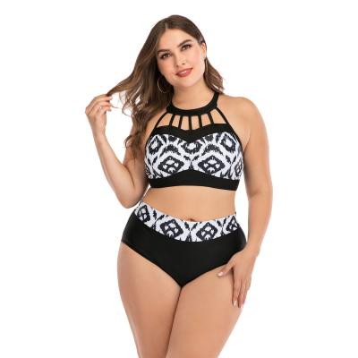 China Women's Breathable High Waist Swimsuit Plus Size Cavity Off Sexy Swimwear Two Piece Swimsuit Swimwear for sale