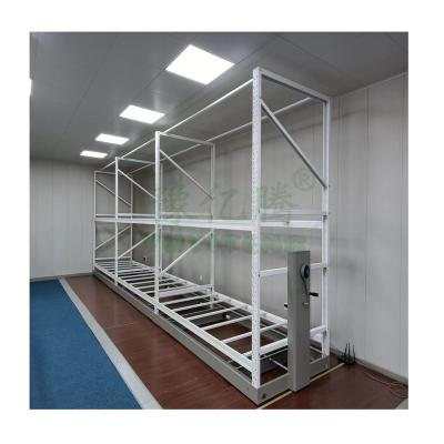 China Steel Railless Two Tier Mobile Growing Stand for Vertical Farming for sale