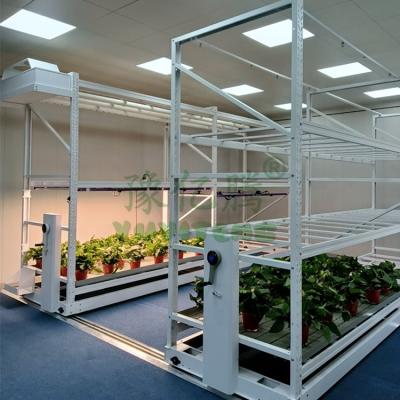 China Agriculture Double Layer Hydroponic Planting Vertical Grow Table Rack Indoor Hydroponic Growing System for sale