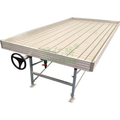 China Greenhouse Seedling Growing Hot Selling Metal Greenhouse Table Irrigation Growing Tables For Commercial Plants for sale