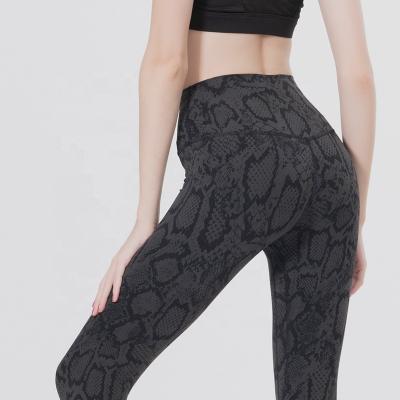 China Wholesale OEM Breathable Women Snakes Printed High Waist Butt Lift Sportswear Fitness Gym Wear Yoga Pants Yoga Gaiters Crack! crack! plus size for sale