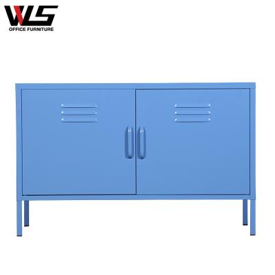 China Adjustable Modern Simple Style Home Furniture TV Stand Steel Cabinet (Other) Steel Storage Cabinet For Living Room for sale