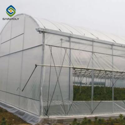 China Complete Greenhouse Support System Sainpoly Grow Plant Plastic Greenhouse Cinema Greenhouse Manufacturers China for sale