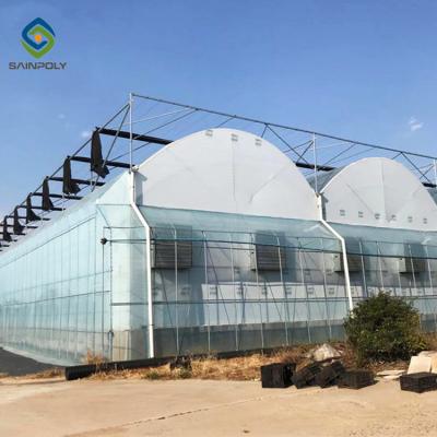 China Sainpoly Multi Span Hydroponics Tomato Film Plastic Greenhouse Easily Assembled Used Construction For Sale for sale