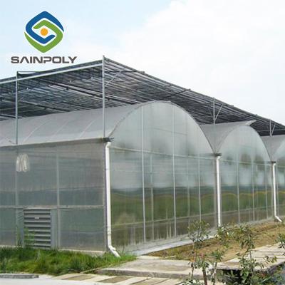 China Hot SaleUV PE Poly Plastic PE Film For Greenhouse Tarpaulin Material for sale