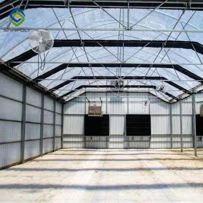 China Easily Assembled 30 x 100 Automated Black Sheet Greenhouse Plastic Commercial Supplies Used for sale