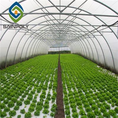 China Factory supply easily assembled single-span UV plastic for greenhouse for sale