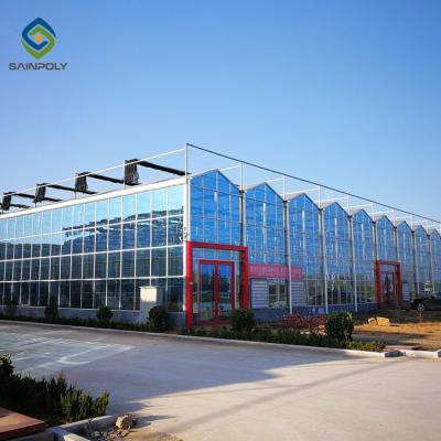 China Automation Vegetable Industrial Glass Hydroponic Greenhouse Glass Structure Commercial venlo flower fruit plant nursery greenhouse for sale