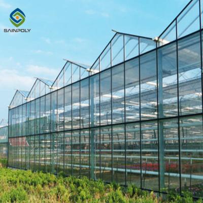 China Holland Cold Frame Greenhouse Glass Agricultural Smart Agriculture Vegetable Greenhouse For Tomatoes Cucumber Lettuce for sale