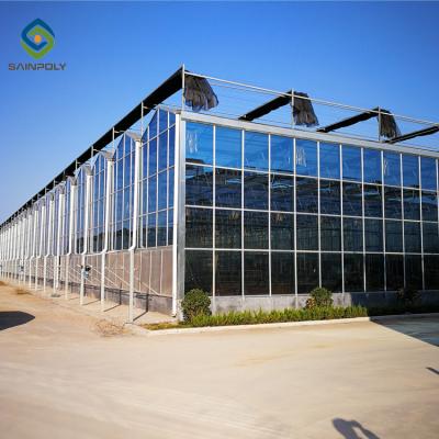 China Good quality fruit flowers multi-span greenhouses vegetable greenhouses for sale green house greenhouse for sale