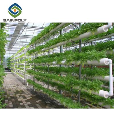 China Management Multi-span 200mic 150mic Thickness Plastic Sheet PE Automated System Hydroponic Greenhouse For Tomato Paprika for sale