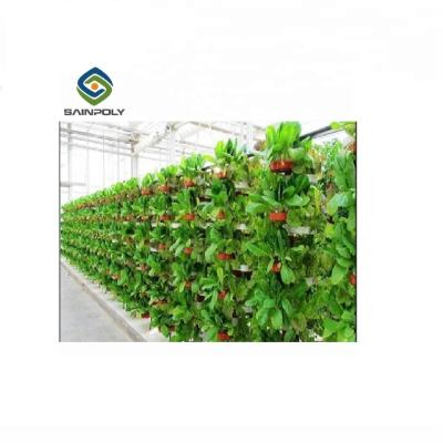 China Non Soil Cultivation Hydroponic Lettuce Plastic Film Greenhouse for sale