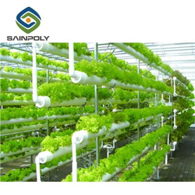 China Non Soil Cultivation China Supplier Hydroponic Greenhouse For Agriculture for sale