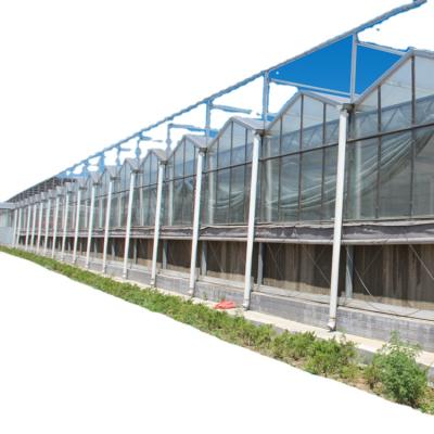 China PC Sheet Hot Sale PC Sheet Hydroponic System Agriculture Greenhouse for sale