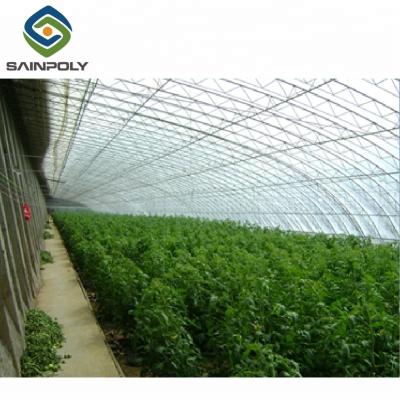 China PE Solar Greenhouse With Hydroponic Systems for sale