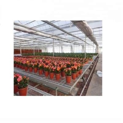 China Greenhouse Galvanized-Steel Rolling Bench Galvanized Steel Seedling System for sale